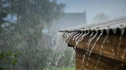 rain