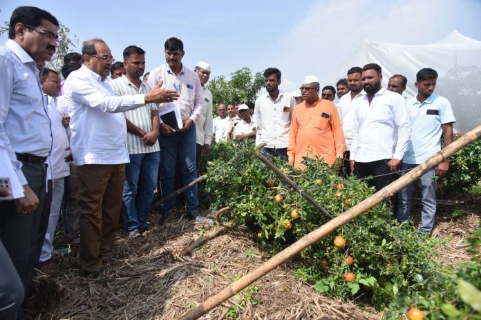 505704962_1031755792395218_2355265377226418059_n