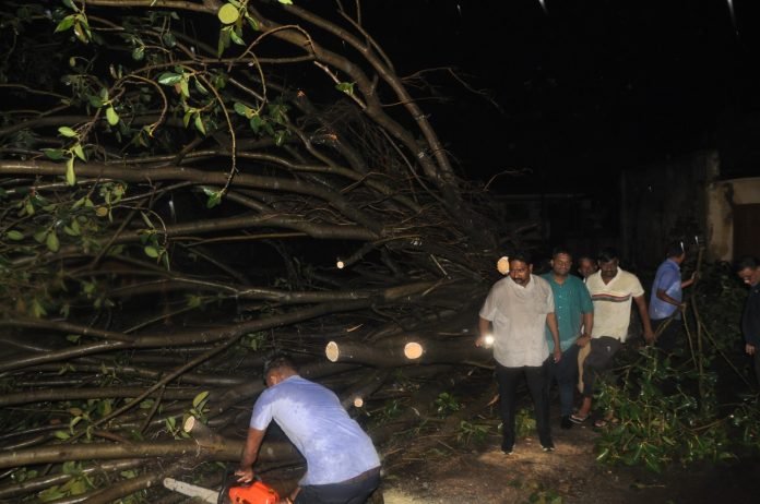 WhatsApp Image 2025-06-12 at 12.39.55 PM (2)