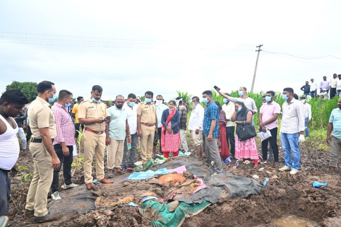 94e8d1bd-4e76-4942-a025-02191dc2919a