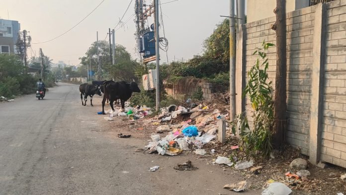 WhatsApp Image 2025-11-29 at 11.06.59_2ca7524d