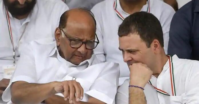 sharad pawar rahul gandhi